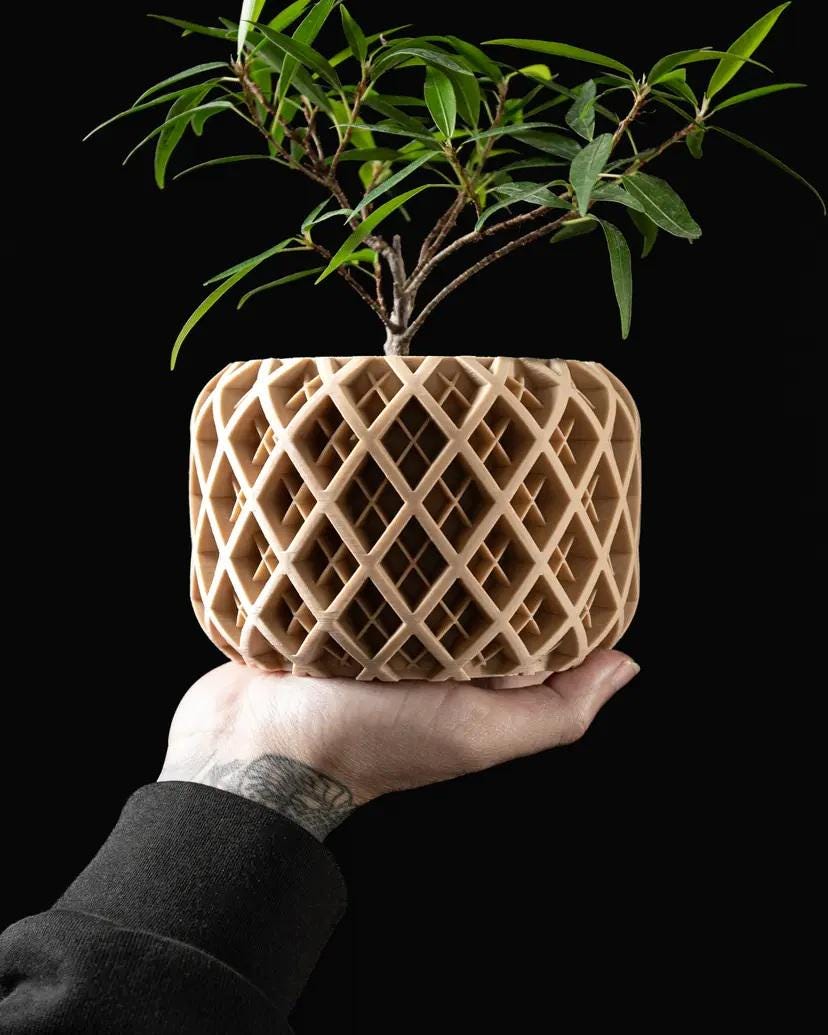 The Torio Planter Pot, Flowerpot, Flower Lovers, Indoor Pot,
