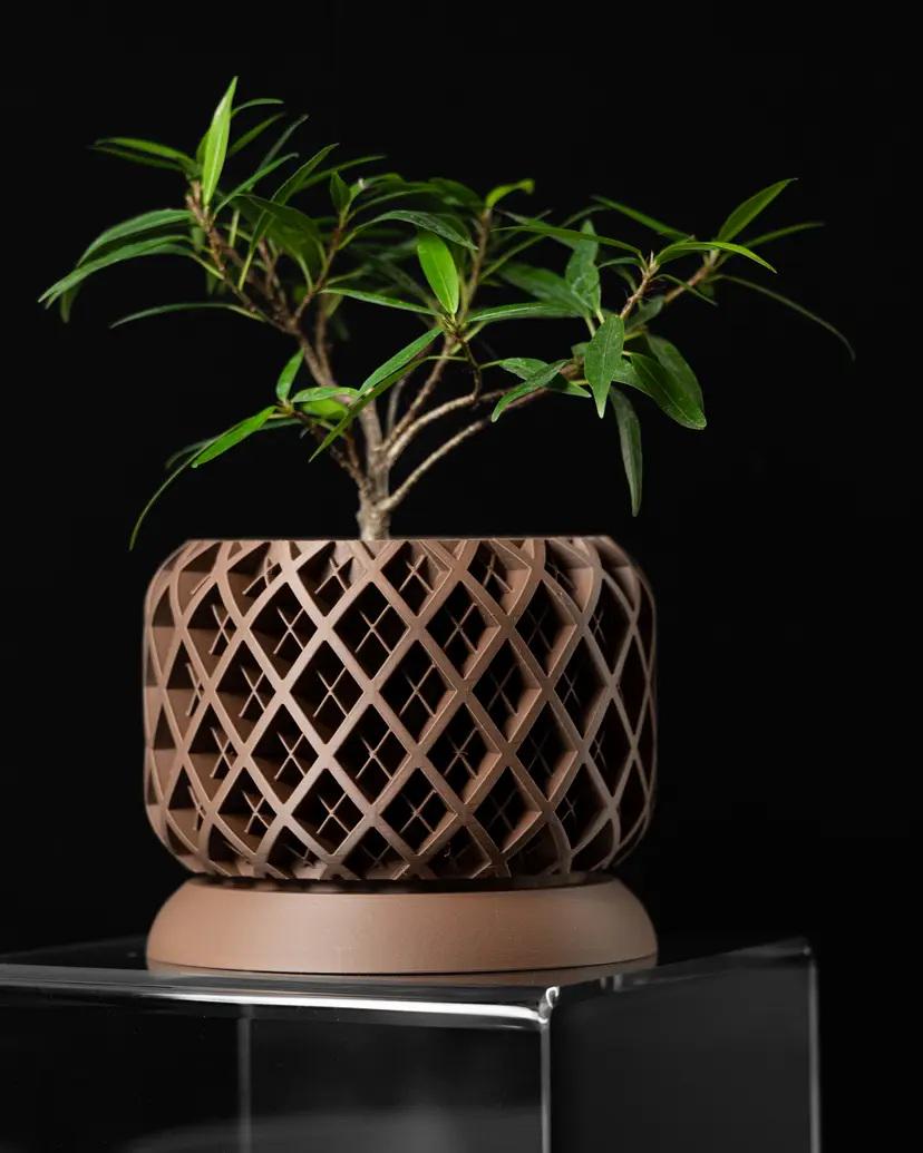 The Torio Planter Pot, Flowerpot, Flower Lovers, Indoor Pot,