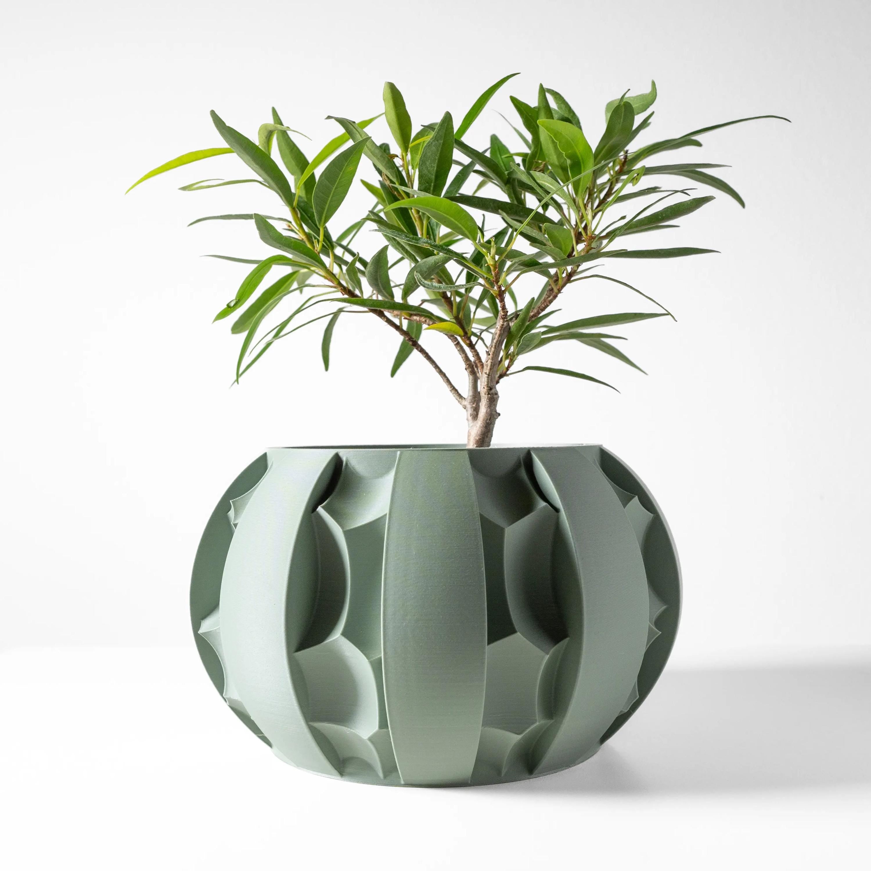 The Erna Planter Pot, Home decor, interior decor, Planter Pot, decorations, flowerpot, vase, tabletop, mantle, housewarming, bookshelf