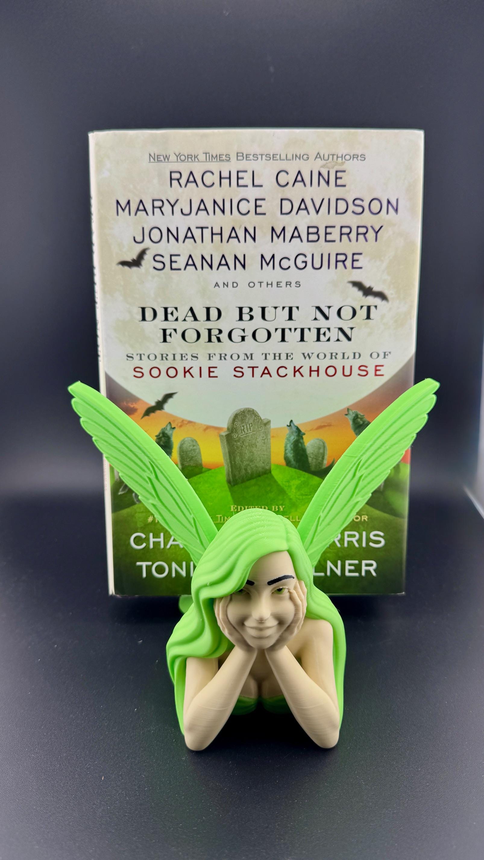Fairytale Keeper Book/Kindle Display